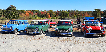 [1-Nov_20_Classic_Minis_Betty.jpg]